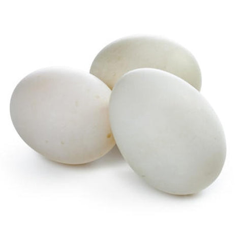 ## /6 pcs ##