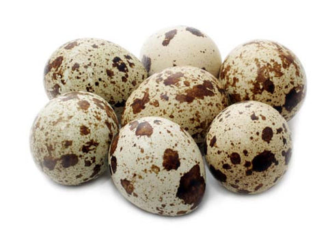 ## /20 pcs ##